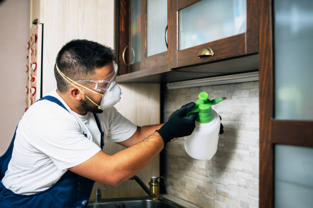 Best Emergency Pest Control  in Mount Pleasant, TN
