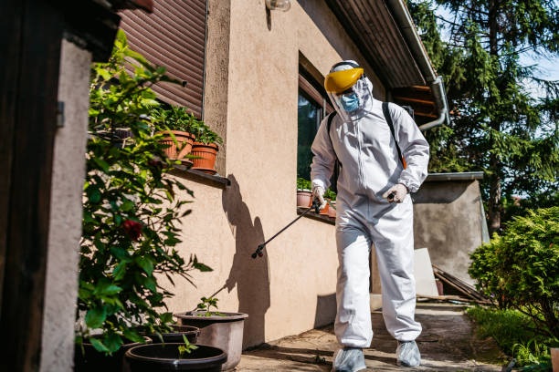 Best Pest Prevention Services  in Mount Pleasant, TN