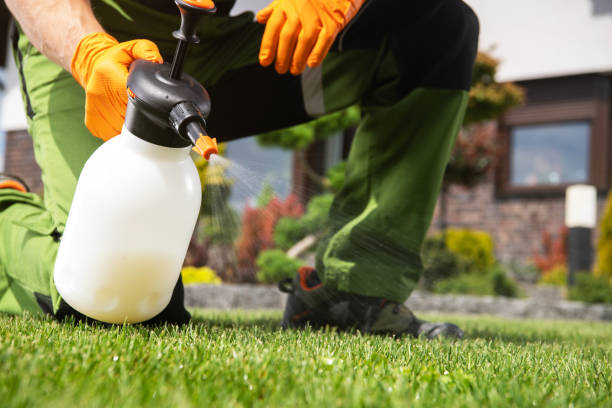 Best Pest Control Cost  in Mount Pleasant, TN