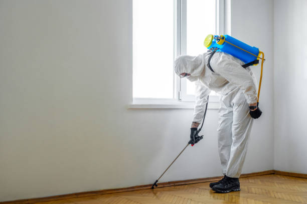 Best Flea Control Services  in Mount Pleasant, TN