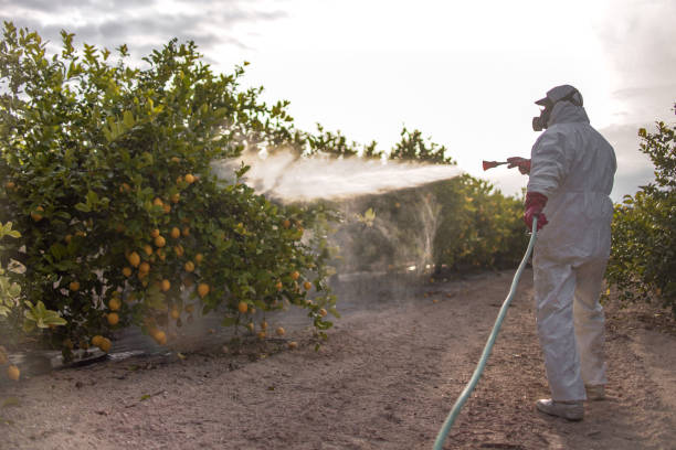 Best Affordable Pest Control Services  in Mount Pleasant, TN