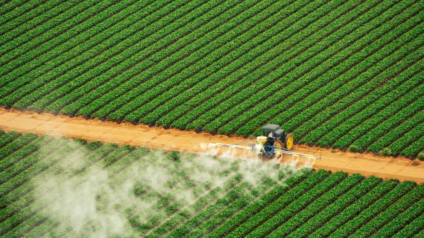 Pest Control Cost in Mount Pleasant, TN