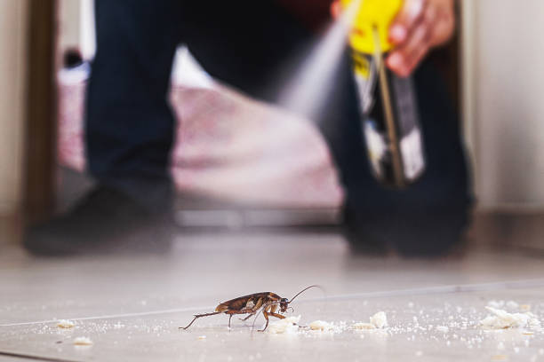 Mount Pleasant, TN Pest Control Company